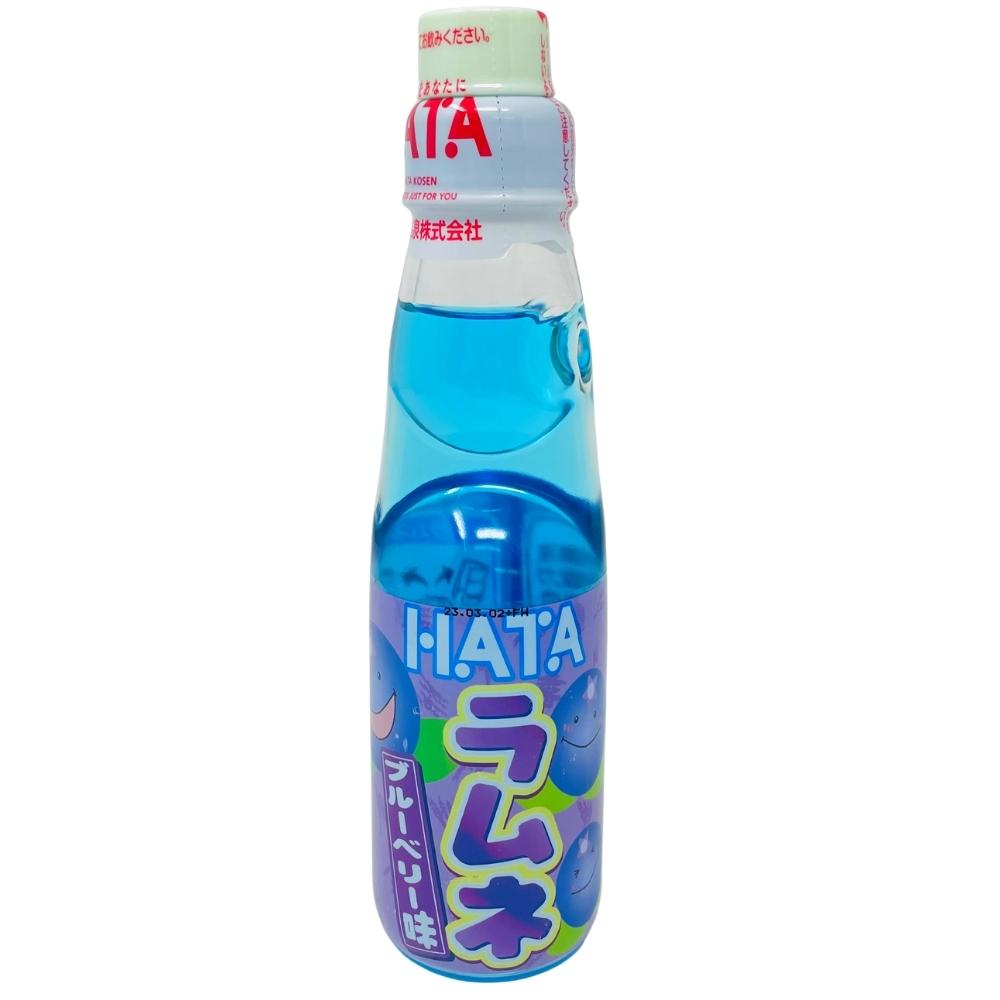 Hata Kosen Ramune Blueberry (Japan) 200mL - 30 Pack – IWholesaleCandy.ca