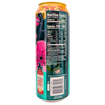 Arizona Spicy Green Tea 22oz - 24 Pack