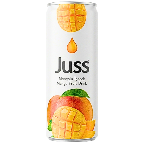 Juss Mango Fruit Drink 250mL (Turkey) - 24 Pack
